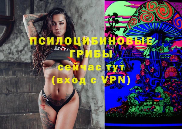 ПСИЛОЦИБИНОВЫЕ ГРИБЫ Арсеньев