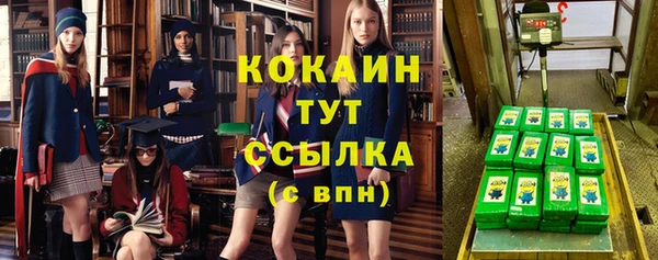 ПСИЛОЦИБИНОВЫЕ ГРИБЫ Арсеньев