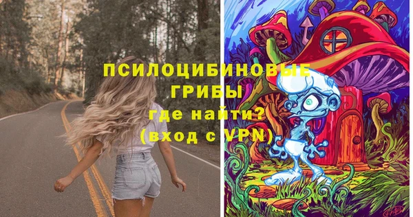 ПСИЛОЦИБИНОВЫЕ ГРИБЫ Арсеньев