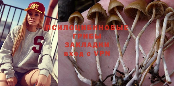 гидропоника Аркадак