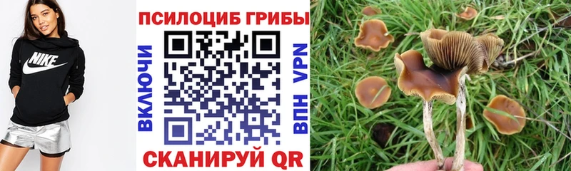 Галлюциногенные грибы MAGIC MUSHROOMS  Купить где  Благовещенск 