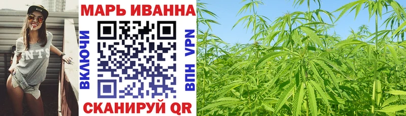 Купить где  Благовещенск  Конопля сатива 